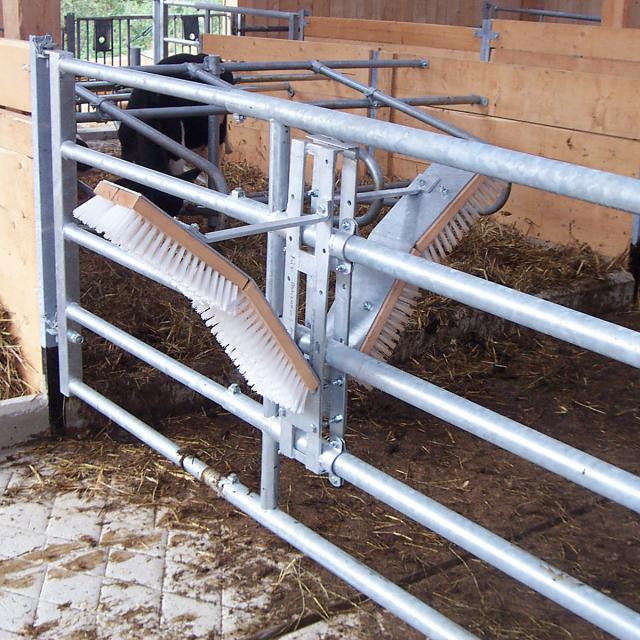 Rinderstall Kratzbürste