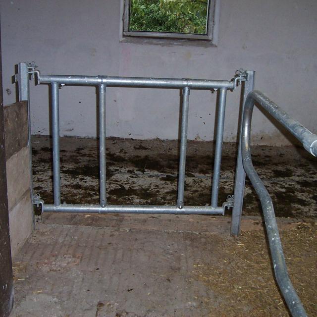 Kälberschlupf