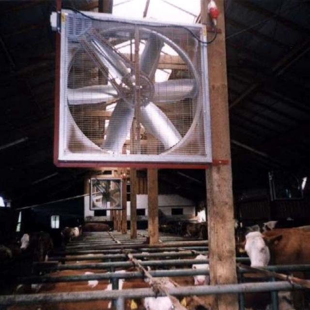 Großraumventilator