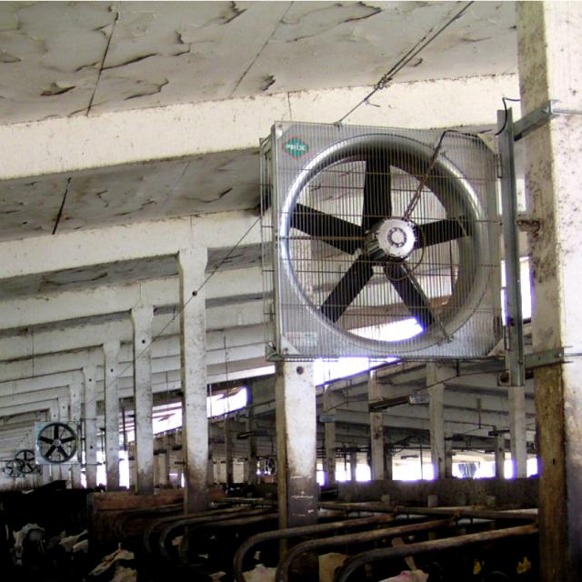 Ventilatoren