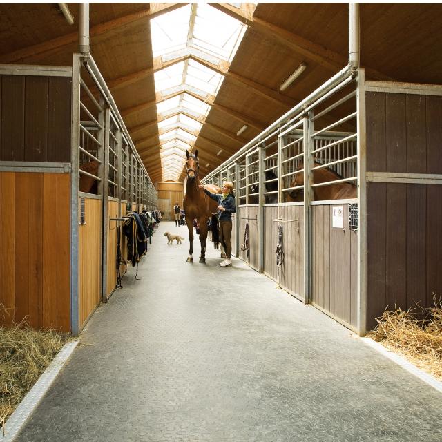 Stallgasse