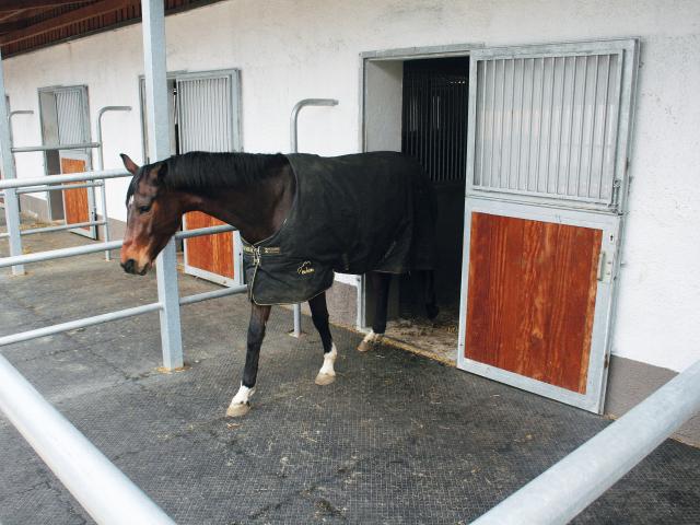 Paddock