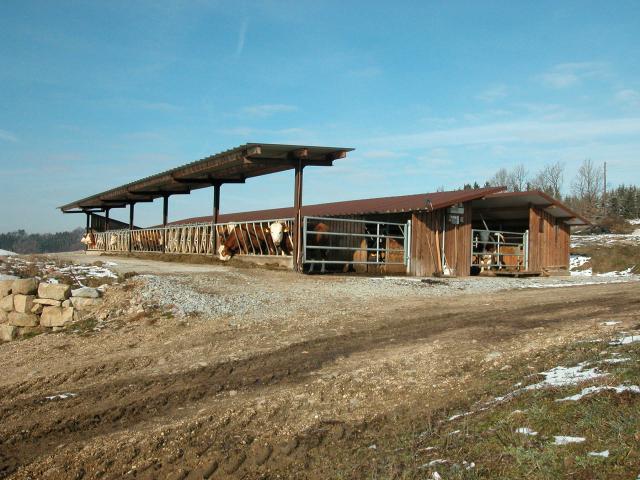 Schrägfressgitter