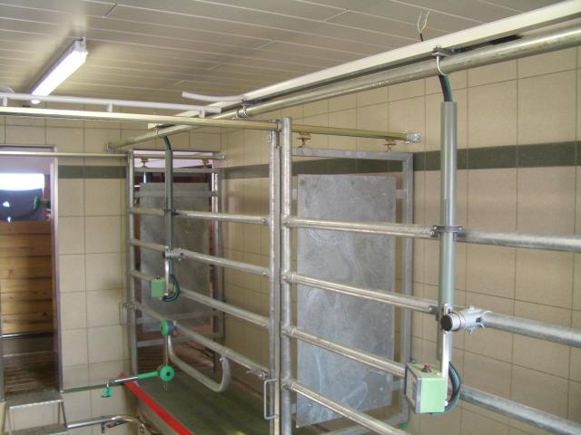 Durchtreibemelkstand