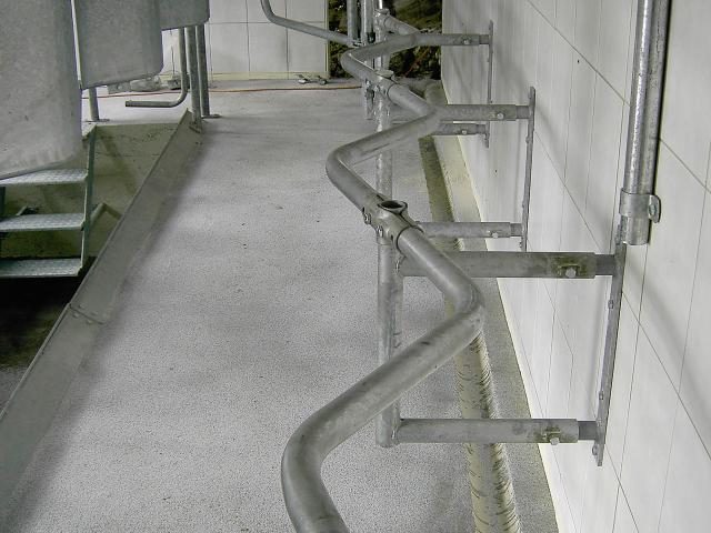 Fischgrätmelkstand