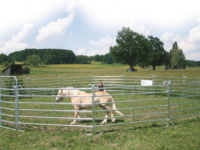 Auslauf
