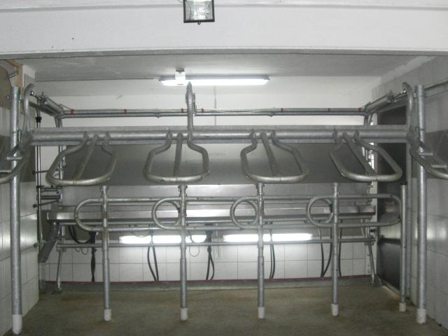 Side by Side Melkstand
