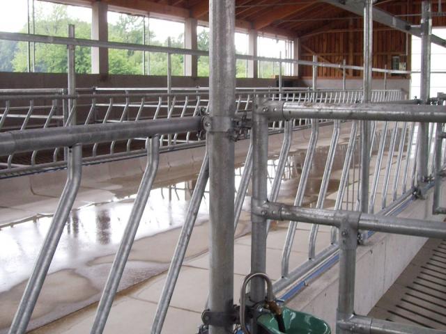 Schrägfressgitter