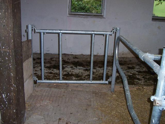 Kälberschlupf