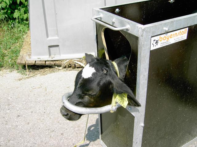 Enthornungsbox