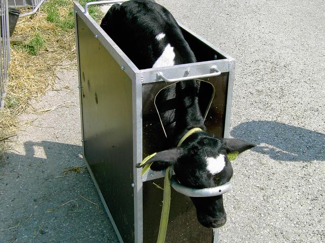 Enthornungsbox