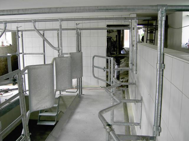 Fischgrätmelkstand