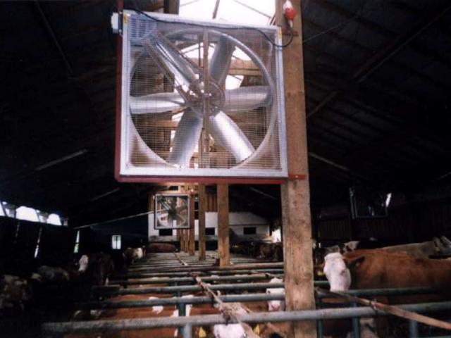 Großraumventilator