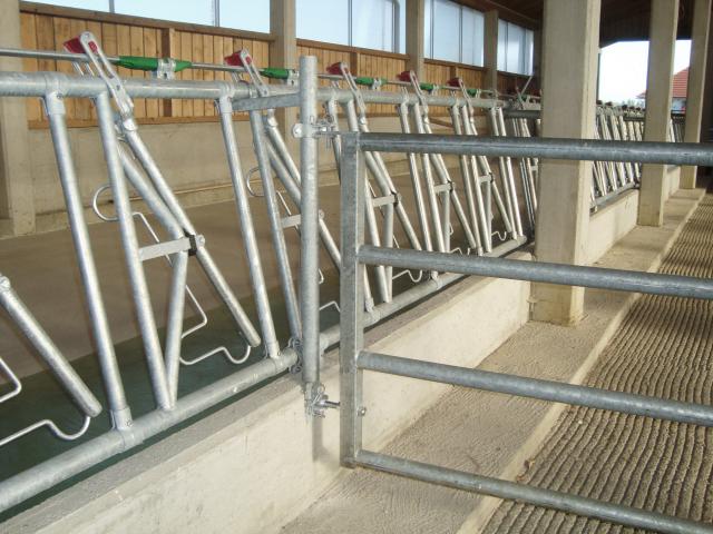 Sicherheits-Fressgitter in einem leeren Stall