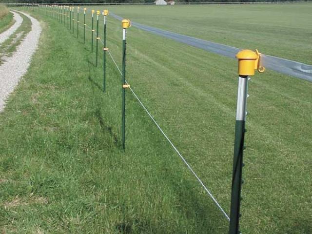 Weidezaunbau